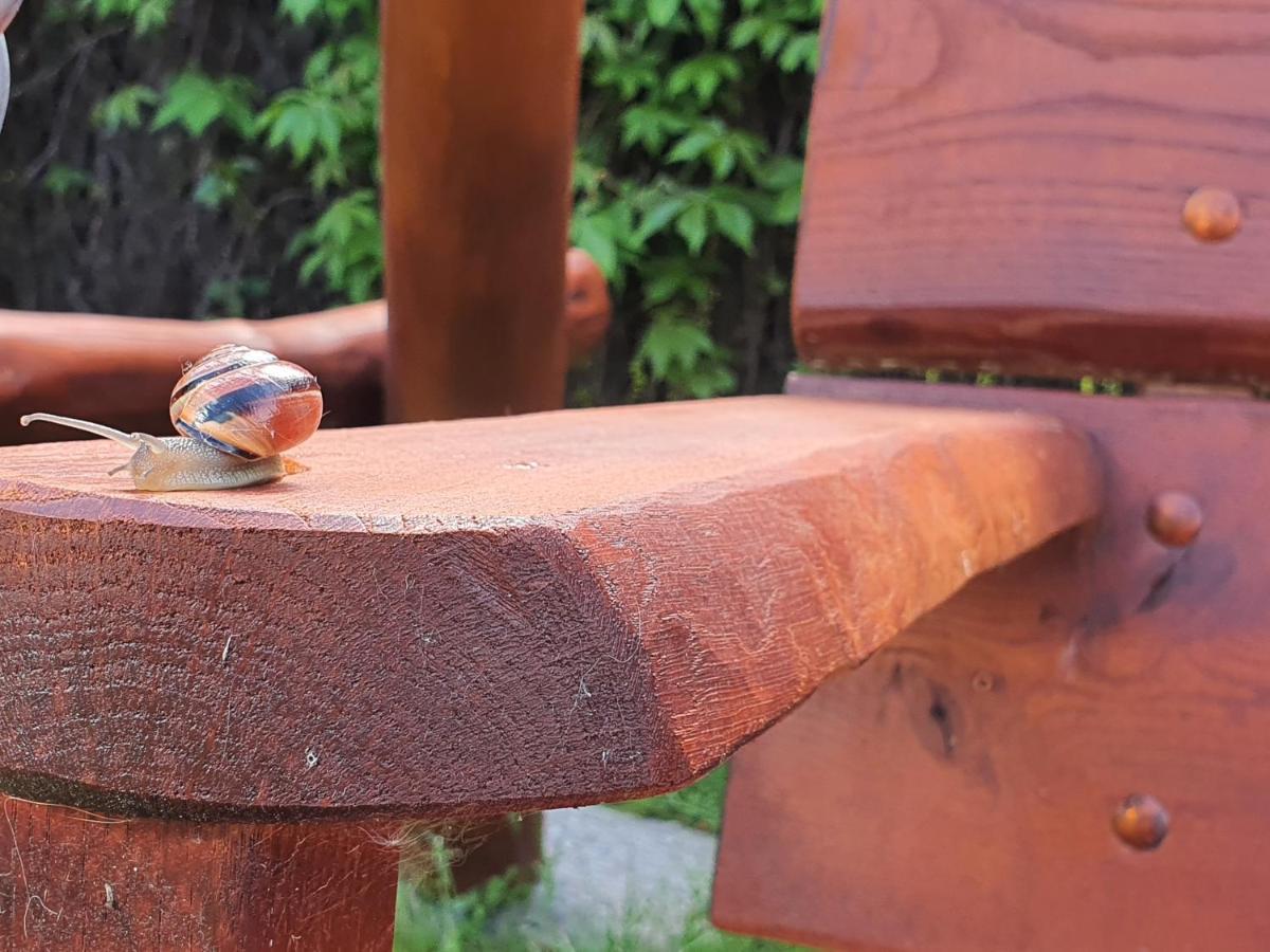 Pokoje U Gosi Węgorzewo Extérieur photo